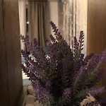 Jahorinska - App Srce Jahorine ياهورينا