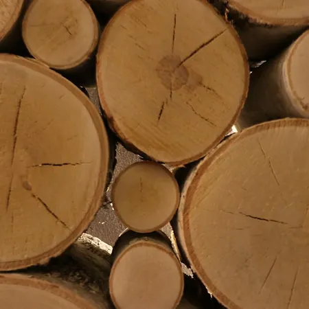 Jahorinska - App Srce Jahorine Lejlighed