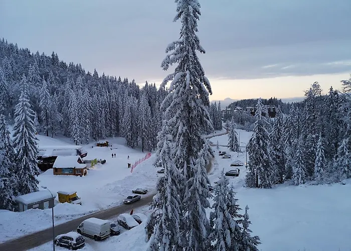 Jahorinska - App Srce Jahorine *