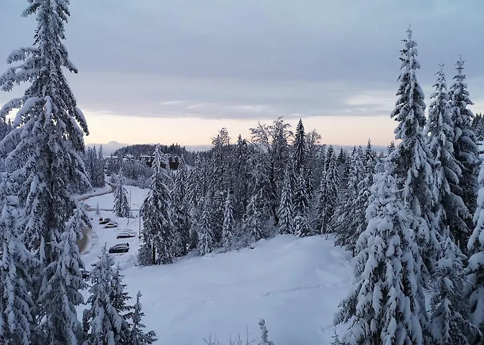 Apartmán Jahorinska - App Srce Jahorine *